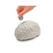 Brain Coin Bank