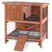 The Townhouse Small Animal Hutch