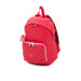 Ridge Large Backpack