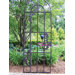 Rose Trellis
