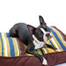 I Walk The Line Dog Duvet