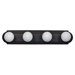 4 Light Bath Vanity Light