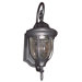 Merili 1 Light Outdoor Wall Lantern