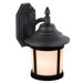 Jake 1 Light Outdoor Wall Lantern