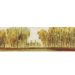Fall Vision II Canvas Art