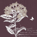 Labrador Tea Bloom I Canvas Art
