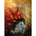 Stormy Weather Canvas Art