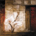 Lilies In The Field II Canvas Art