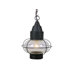 13" Nautical Outdoor Pendant