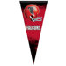 NFL Premium Pennant