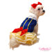 Snow Princess Dog Costume