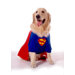 Superdog Dog Costume