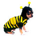 Bumble Bee Dog Costume