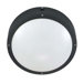 Hudson Energy Star  Wall Lantern in Matte Black