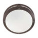 Hudson  Wall Lantern in Architectural Bronze