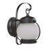  Onion Wall Lantern in Textured Black