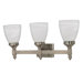 Triumph  Vanity Light in Brushed Nickel