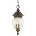 Balun  Hanging Lantern in Platinum Gold