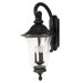 Parisian  Wall Lantern in Textured Black