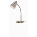 One Light Large Goose Neck Desk Lamp in Nickel