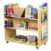School Library Cart