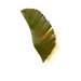 Recycled Banana Leaf Sconce