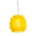 Urchin 1 Light Mini Pendant