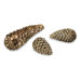 Taran Pinecone Decor (Set of 3)