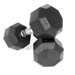 Rubber Encased Octagonal Dumbbells