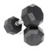  5 lbs Rubber Encased Octagonal Dumbbells