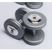 125 lbs Pro-Style Cast Dumbbells in Gray