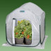 PlantHouse Polyethylene Mini Greenhouse