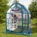 Planthouse Polyethylene Greenhouse