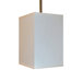 Home Decor 1 Light Pendant