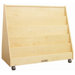 Mobile Two Sided Book Display Stand