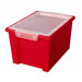 Large Storage Bin with Clear Lid