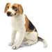 Beagle Plush Stuffed Animal