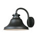 Bayport  Dark Sky Wall Lantern in Bronze