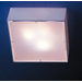 Zenit Square Ceiling Lght