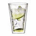 Canteen 13.5 oz Double Wall Insulated Glass (Set of 2)