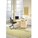 Ergonomic Sit Stand Motorized Computer Desk