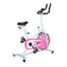 Indoor Cycling Bike