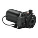 3/4 HP Cast-Iron Convertible Well Jet Pump