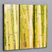 Three Piece Hawaiian Bamboo Forest Laminated Framed Wall Art Set - 36" x 44"