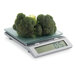 Digital Glass Top Kitchen Scale