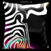 Contempo White and Black 18" Square Satin Pillow