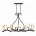 Inspirational Iron 12 Light Chandelier