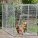 Lucky Dog Best in Show Gate