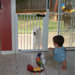 Lock-n-Block Sliding Door Gate