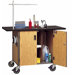 Basic Mobile Science Lab Station with Sink